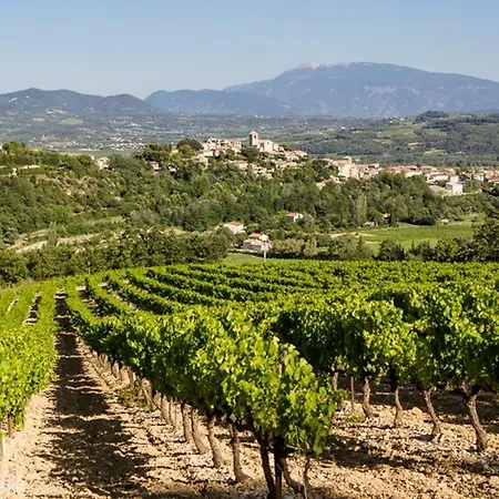 Lilas Mirabel-aux-Baronnies